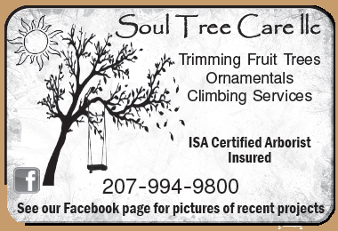 Soul Tree Care llc